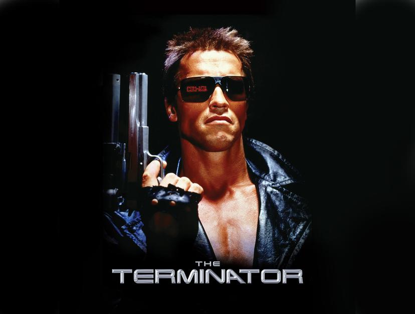 The Terminator Landscape
