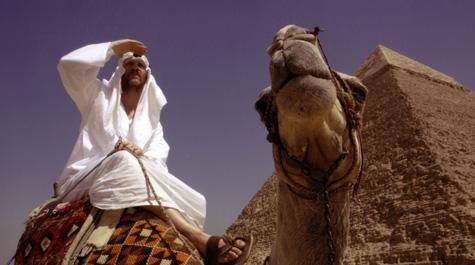 Where in the World Is Osama Bin Laden? Landscape