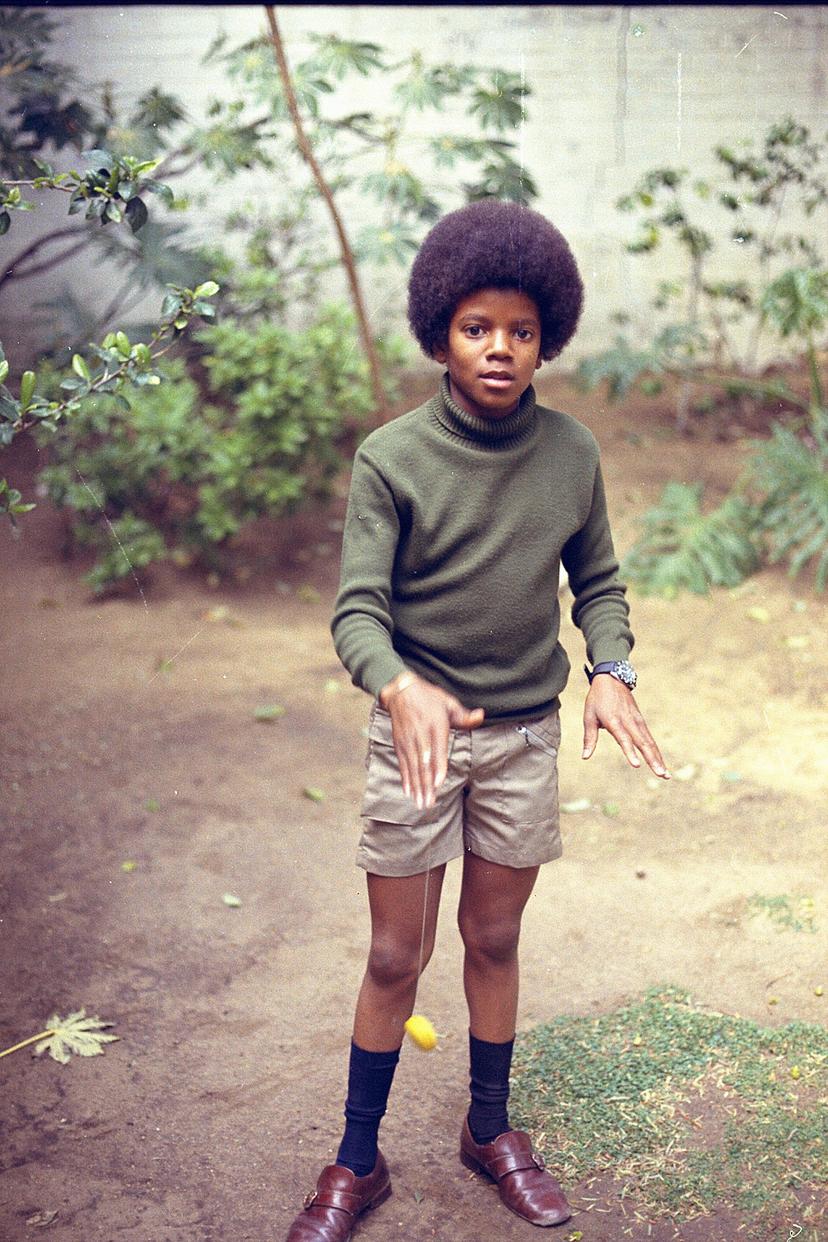 Michael Jackson: Life of an Icon Landscape