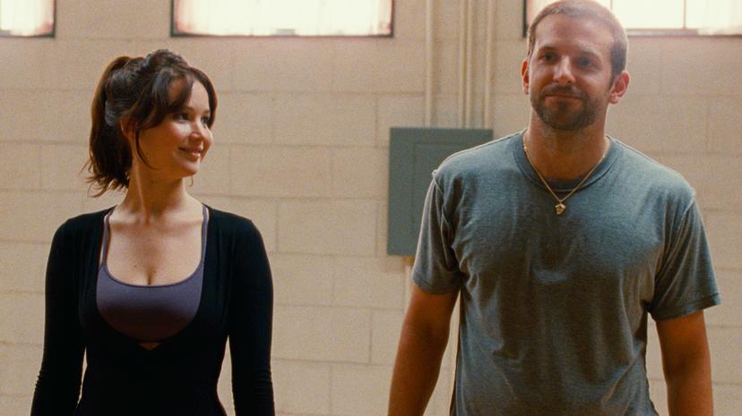 Silver Linings Playbook Landscape
