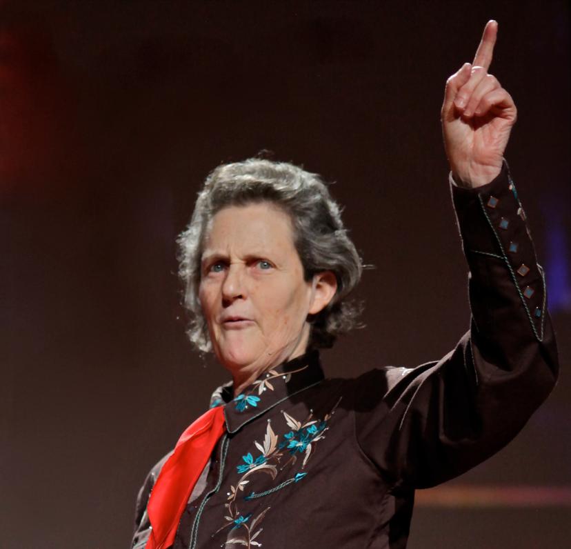 Temple Grandin Landscape