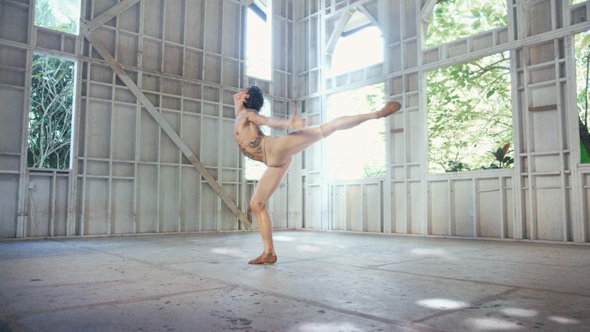 Dancer Landscape