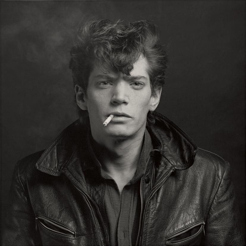 Mapplethorpe: Look at the Pictures Landscape