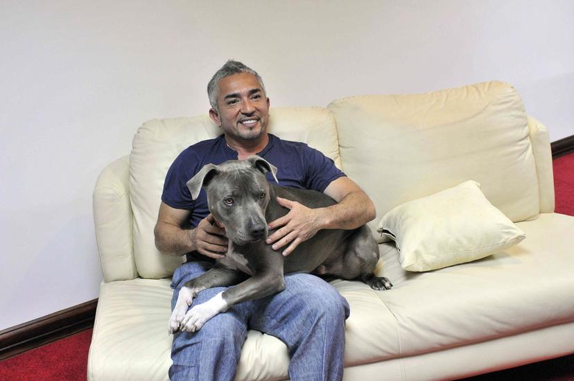 Cesar Millan