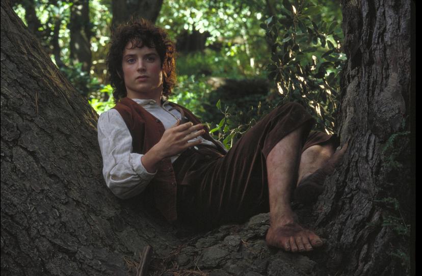 Elijah Wood als Frodo