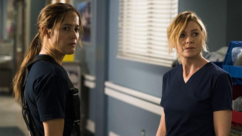 Grey's Anatomy seizoen 17