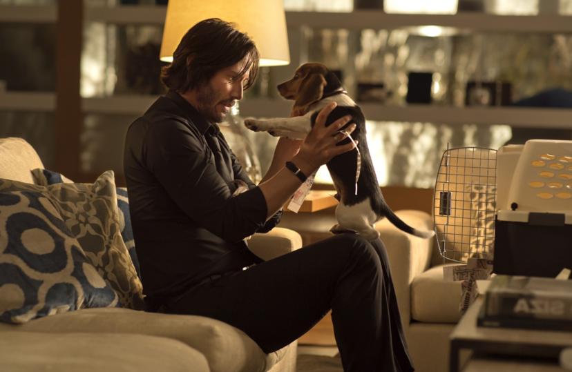 John Wick viert Nationale Puppydag met een speciale hondentrailer 