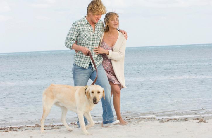 Ideaal! Deze website waarschuwt je als er een hond doodgaat in een film