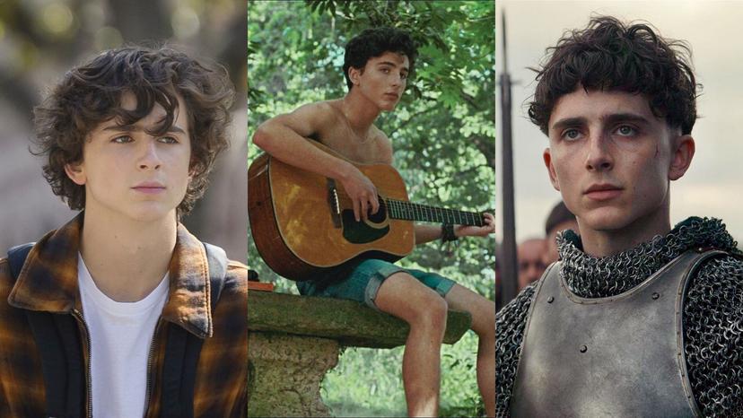 Timothée Chalamet in Beautiful Boy, Call Me by Your Name en The King