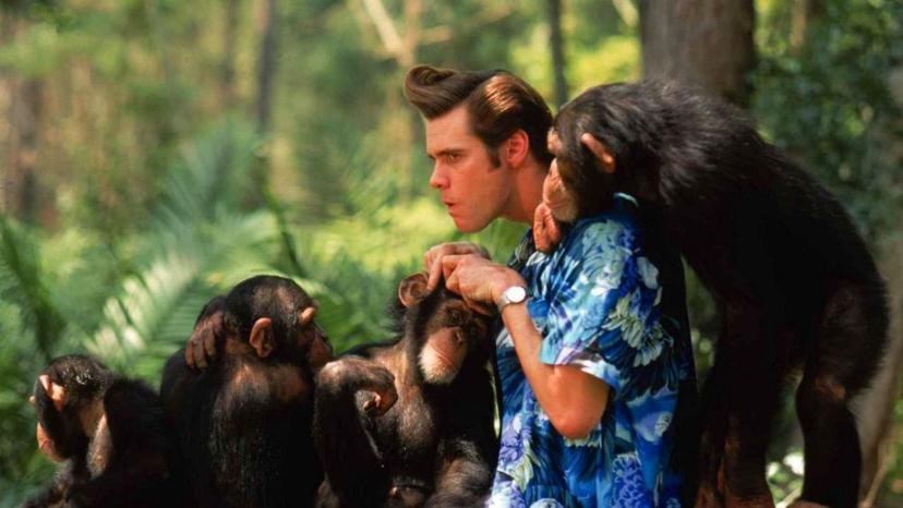 Alrighty then: een nieuw begin voor dierendetective Ace Ventura