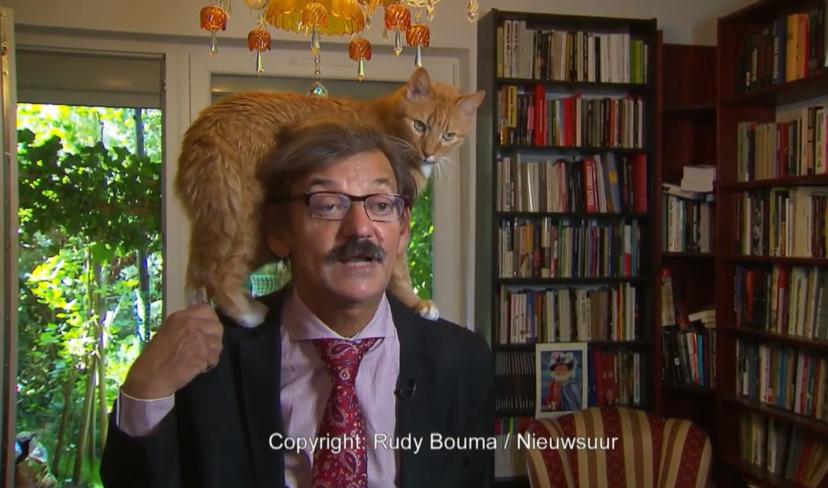 ‘Nieuwsuur-kat’ is internethit!