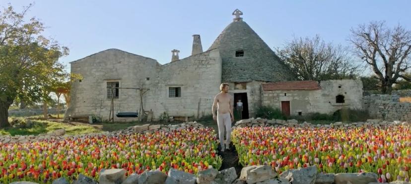Nederlandse film Tulipani wint prestigieuze Italiaanse prijs