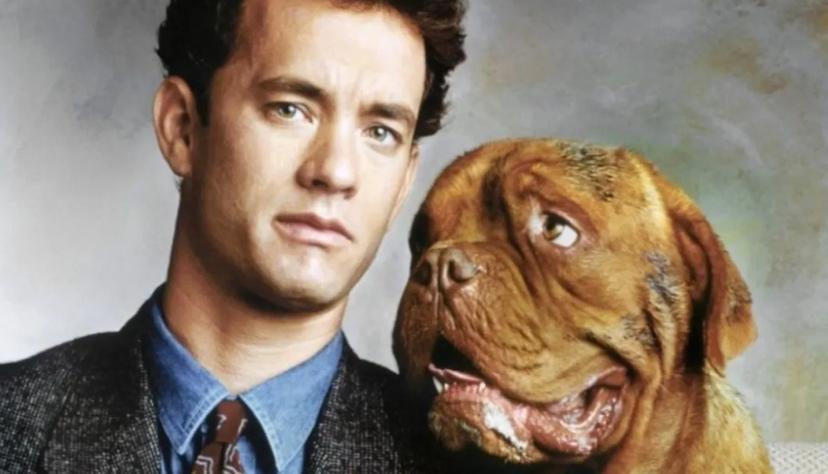 Turner and Hooch jaren 80 film eighties Tom Hanks hond