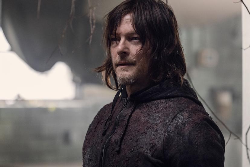 Norman Reedus als Daryl
