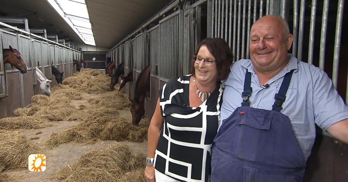 Boer Zoekt VrouwHans over samenwonen ‘Kroon