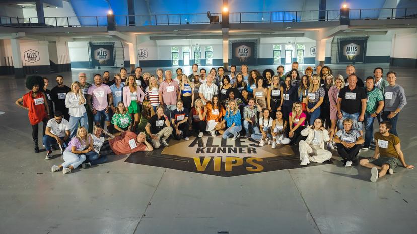 Alleskunner VIPS