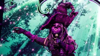The Masked Singer