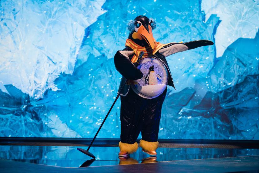 De Pinguïn in The Masked Singer