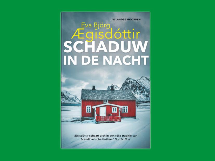 Schaduw in de nacht
