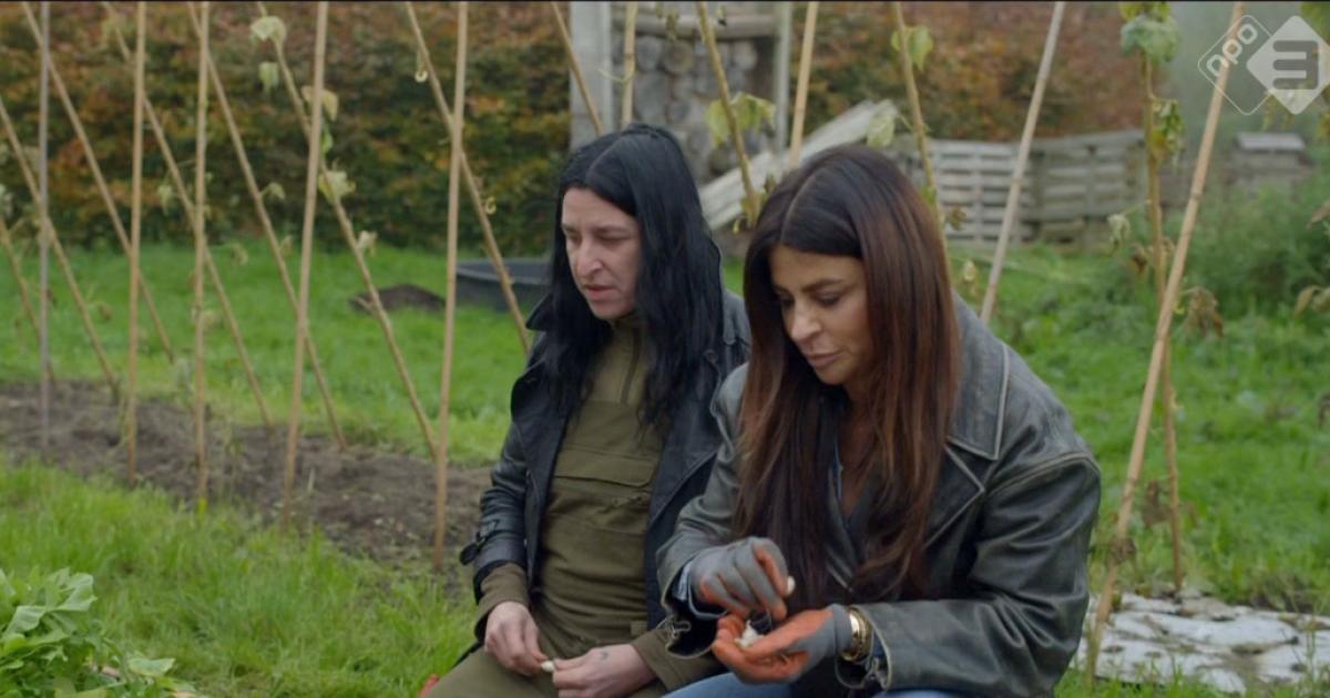 Olcay Gulsen openhartig over faillissement in Boerderij van Dorst: 'Ik had het nodig'