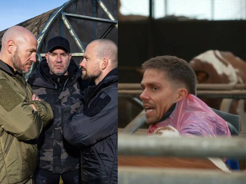 Strijders / Hazes & Hoogkamer: tot uw dienst