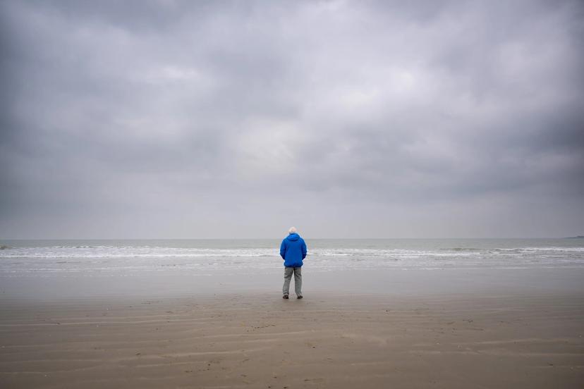 Ocean with David Attenborough 