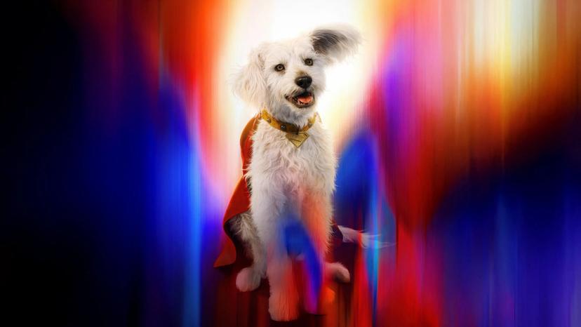 Krypto Superman