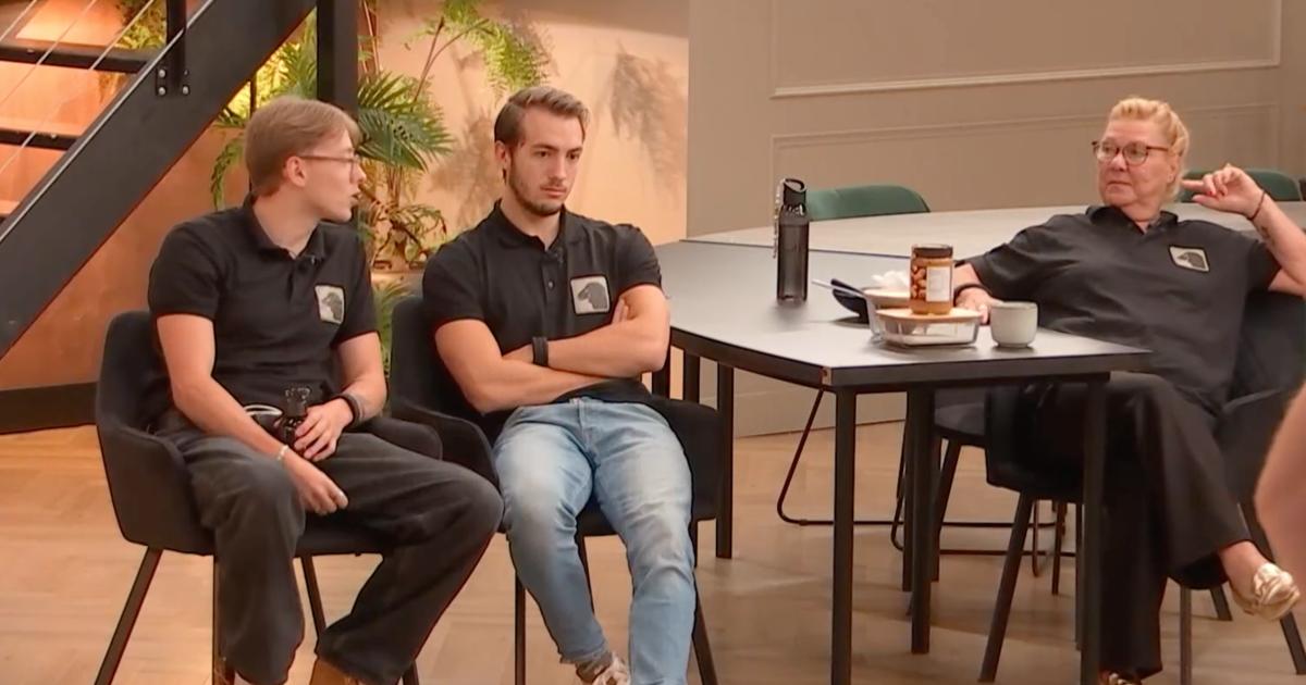 Bondgenoten-fans kijken met open mond naar bizarre opdracht: 'Kan je haast  niet uitzenden' | Veronica Superguide