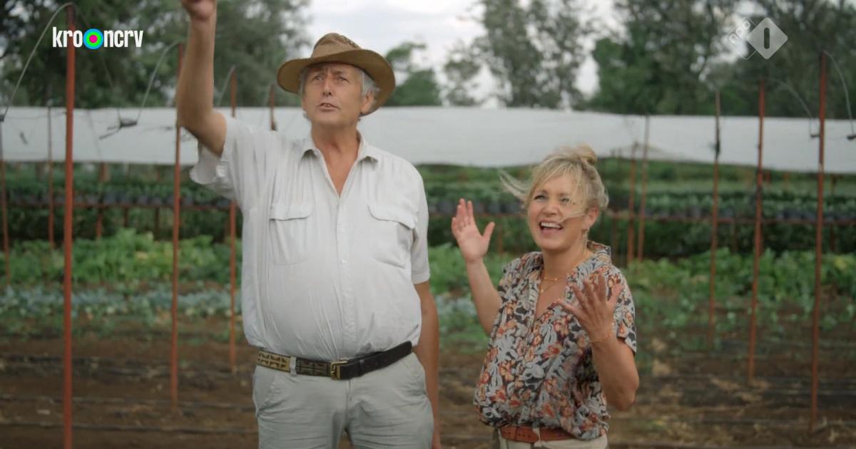 Onze Boerderij Internationaal op bezoek bij Boer zoekt vrouw-Wim: ‘Punt achter gezet met Evelyne’