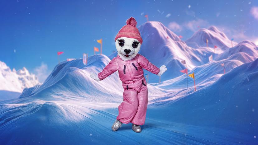 De Zeehond in The Masked Singer