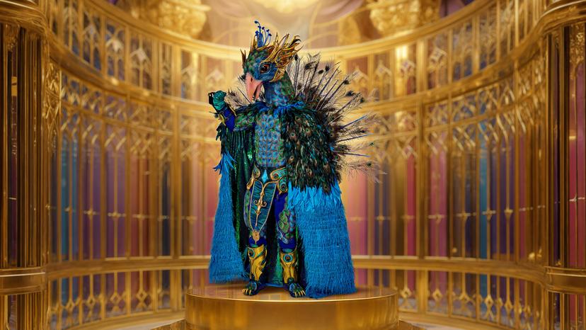 De Pauw in The Masked Singer