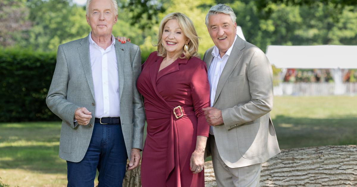 Deze drie bakkers staan in de finale van Heel Holland Bakt 2025: 'Tot in perfectie'