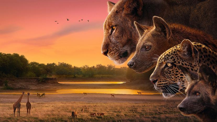 Kingdom (Attenborough: Kingdom) 